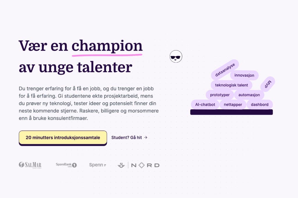 Unge talenter koblet med konkrete bedriftsbehov project image